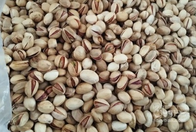فروش پسته
