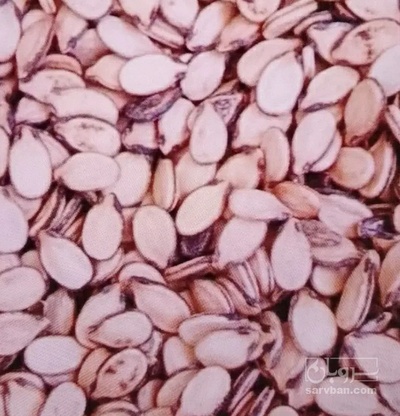 فروش تخمه هندوانه خام