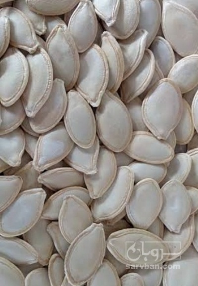 فروش تخمه  کدو آویشن