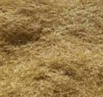 فروش کاه و کلش گندم