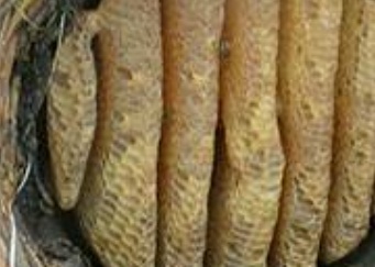 فروش عسل سبدی