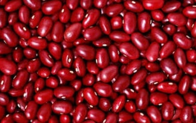 فروش لوبیا قرمز