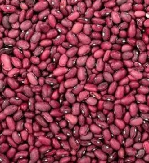 فروش لوبیا قرمز اناری