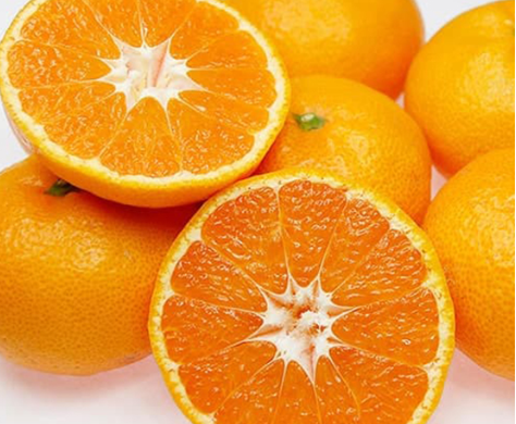 فروش نارنگی انشو