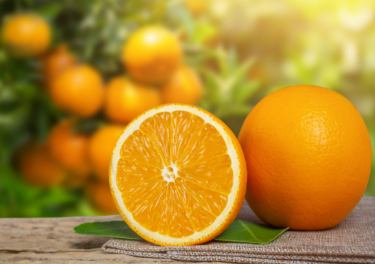 فروش نارنگی انشو