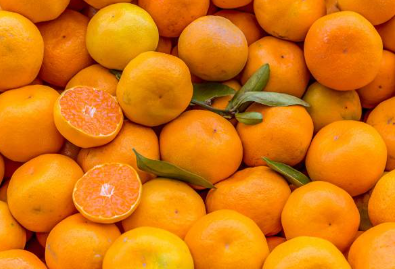 فروش نارنگی