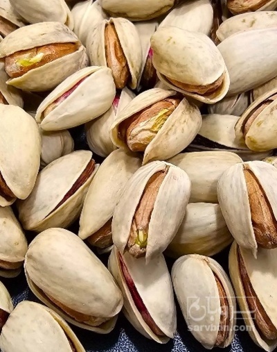 فروش پسته