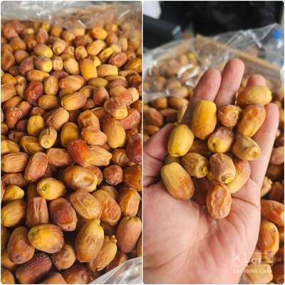 فروش خرما