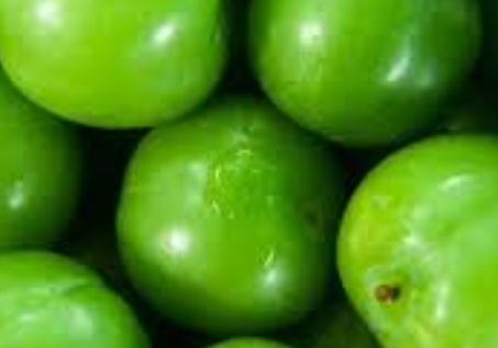 فروش گوجه سبز