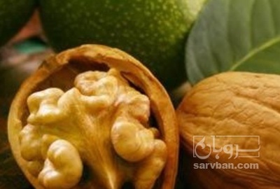 فروش گردو