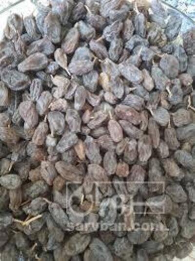 فروش کشمش