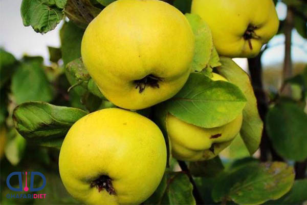 فروش به میوه