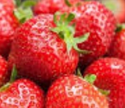 فروش توت فرنگی