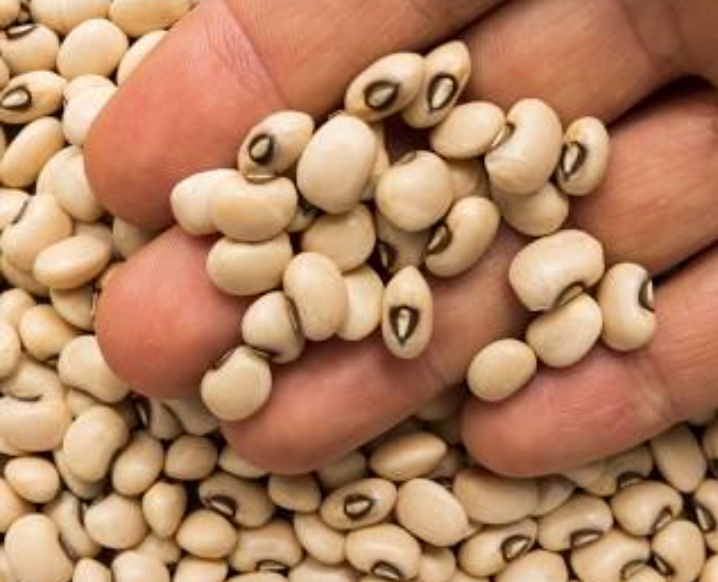 فروش لوبیا چشم بلبلی