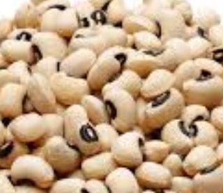 فروش لوبیا چشم بلبلی