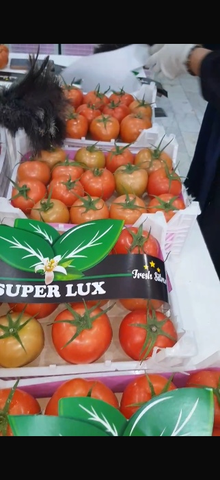 فروش گوجه فرنگی