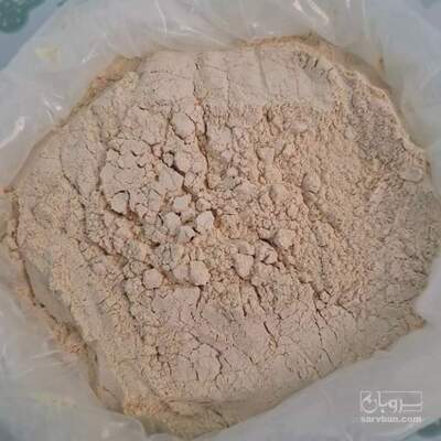 فروش پودر سیر