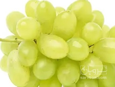 فروش انگور