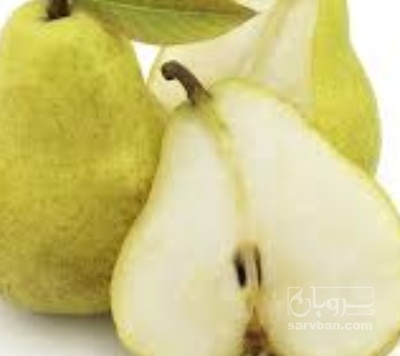 فروش گلابی