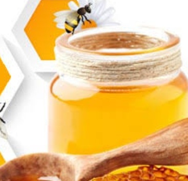 فروش عسل اویشن