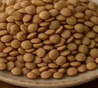 فروش عدس