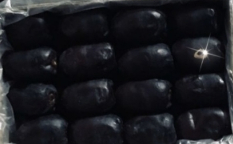 فروش خرما مضافتی