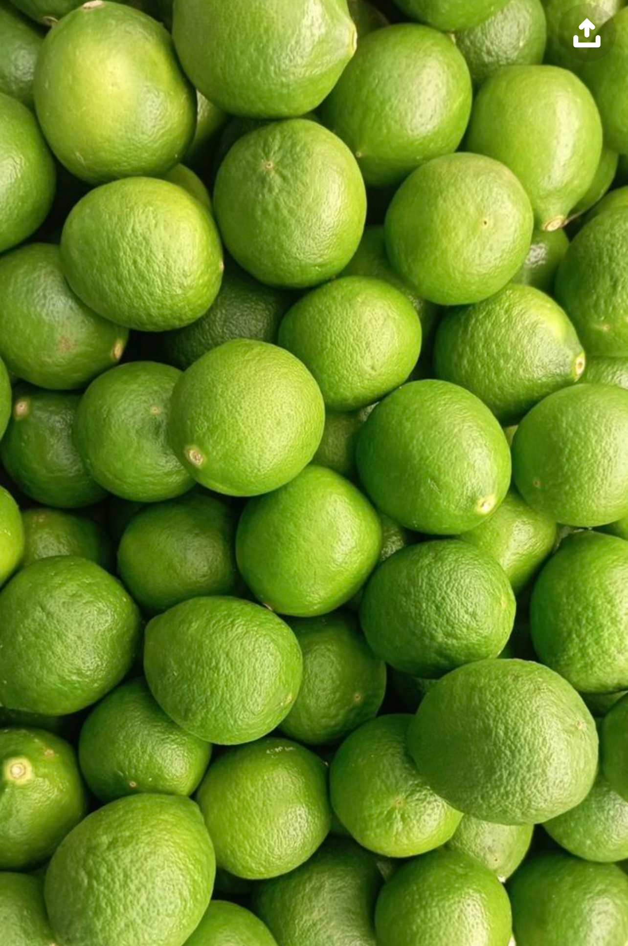 فروش لیمو ترش