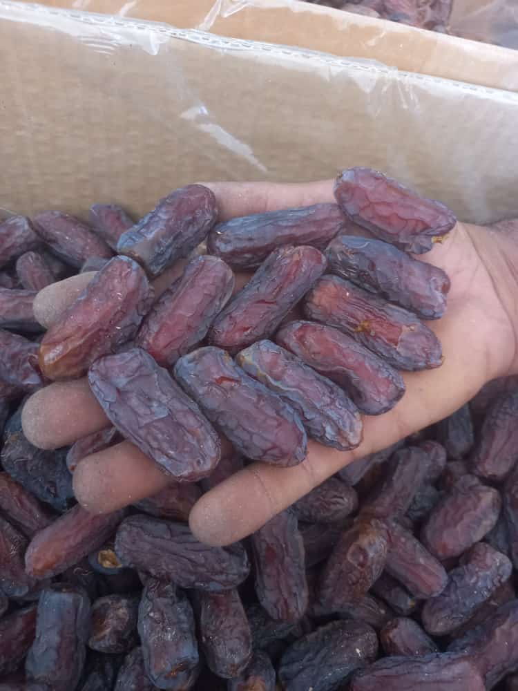 فروش خرماپیارم