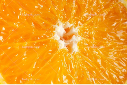 فروش پرتقال