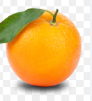 فروش پرتقال