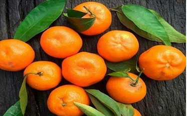 فروش نارنگی ژاپنی