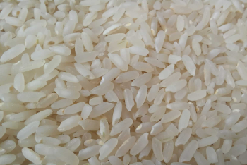 فروش برنج