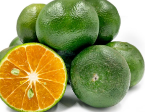 فروش نارنگی