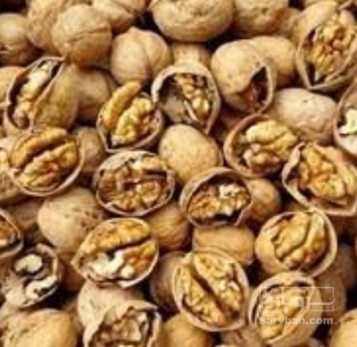 فروش گردو