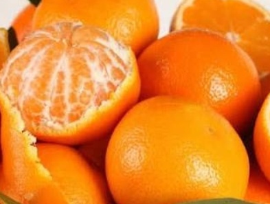 فروش نارنگی پچ