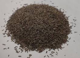 فروش زیره (گیاه‌ دارویی)