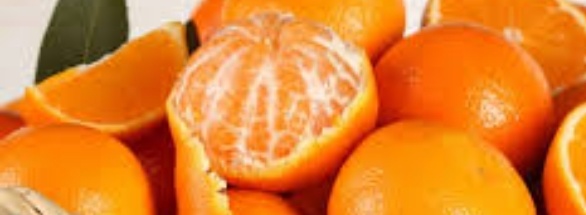 فروش نارنگی