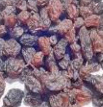 فروش کشمش ابگیری