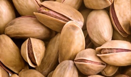 فروش پسته کله قوچی