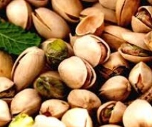 فروش پسته فندقی