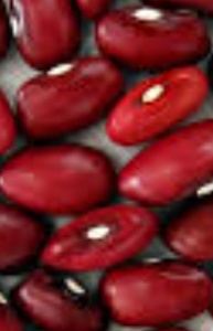 فروش لوبیا قرمز