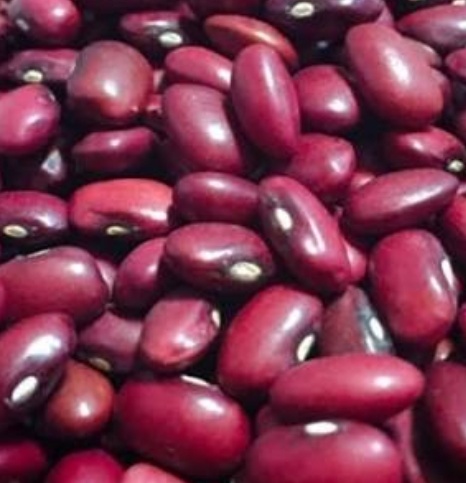 فروش لوبیا قرمز