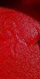 فروش رب گوجه فرنگی