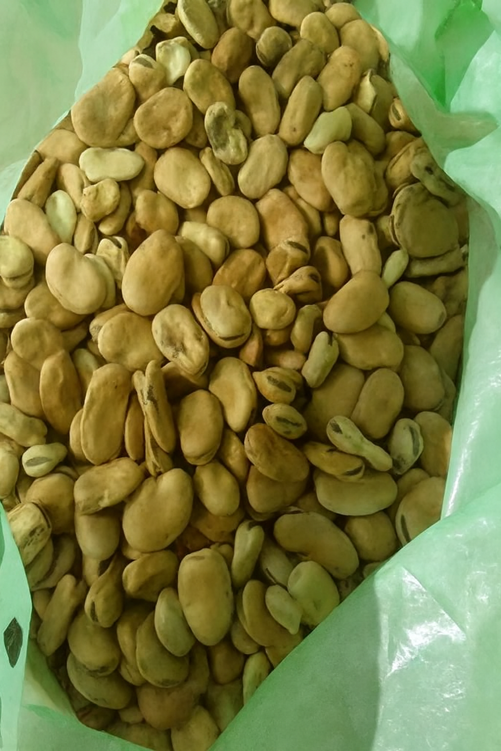 فروش باقلا تازه - باقالی - باقالا