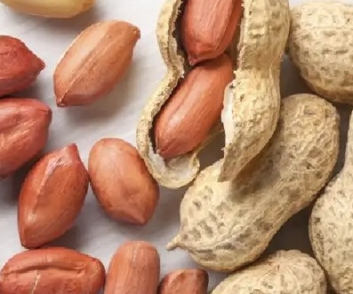 فروش بادام زمینی