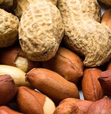 فروش بادام زمینی