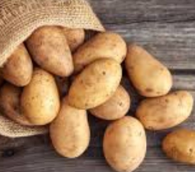 فروش سیب زمینی اگریا