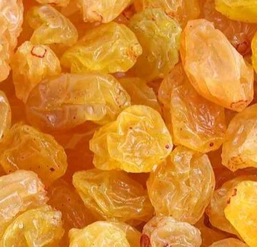 فروش کشمش گلدن