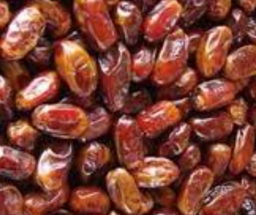 فروش خرما شاهانی