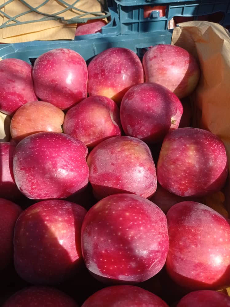 فروش سیب قرمز